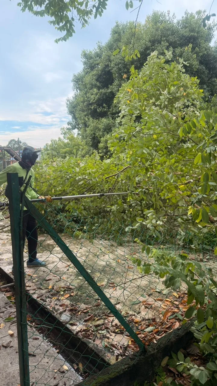 MBK potong pokok 7